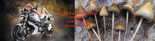 молекула духа Алзамай