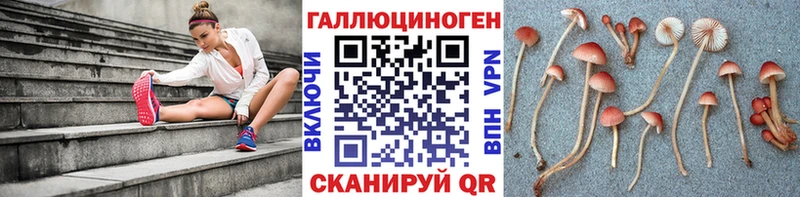 Галлюциногенные грибы прущие грибы  цены наркотик  Красноярск 