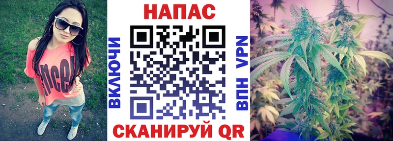 МАРИХУАНА конопля  площадка формула  Красноярск 